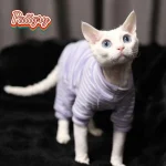 Tricolor Hairless Cat Warm Four Legged Sphinx Clothes 4 | PricZone