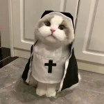 Cat Dress Up Party Costumes for Small Dogs and Cats 2 | PricZone