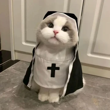 Cat Dress-Up Party Costumes for Small Dogs and Cats 2