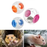 Silent Hamster Wheel for Small Animals Transparent Exercise 2 | PricZone