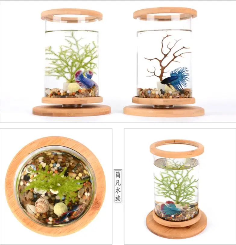 360 Degree Rotating Glass Betta Fish Tank Bamboo Base 17