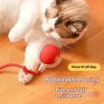 Rechargeable Automatic Rolling Cat Toy with Fake Tail 1 | PricZone Rechargeable Automatic Rolling Cat Toy with Fake Tail 1 | PricZone