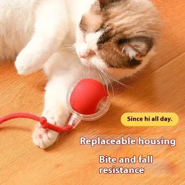 Rechargeable Automatic Rolling Cat Toy with Fake Tail 1 | PricZone