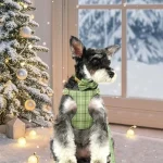 Extra Small Dog Harness Collar and Leash Set with Bowtie 4 | PricZone Extra Small Dog Harness Collar and Leash Set with Bowtie 4 | PricZone