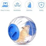 Cute Dwarf Hamster Running Ball 472 Inches Crystal Wheel 2 | PricZone