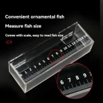 Transparent Fish Viewing Box Rectangle Desktop Goldfish 3 | PricZone