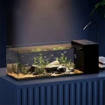 Modern Ultra Clear Glass Fish Tank with Hidden Side Filter 2 | PricZone
