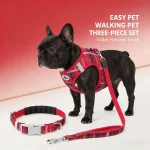 Classic Plaid Pet ThreePiece Set StressRelief Leash 3 | PricZone Classic Plaid Pet Three Piece Set Stress Relief Leash 3 | PricZone