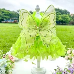 Spring Princess Pet Dress Lace Skirt 6 | PricZone