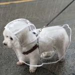 Waterproof Transparent Dog Raincoat for Small Dogs 1 | PricZone