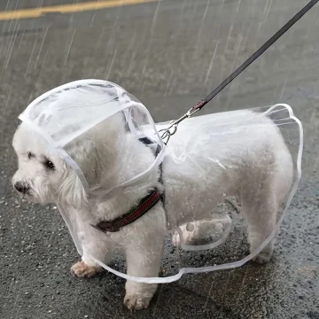 Waterproof Transparent Dog Raincoat for Small Dogs 1 | PricZone