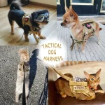 Tactical Puppy Harness Leash Set for Small Dogs Adjustable 3 | PricZone