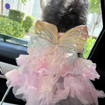 Spring Princess Pet Dress Lace Skirt 1 | PricZone
