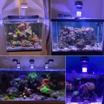 Popbloom Marine Aquarium Light 60W100W Reef LED Lamp 4 | PricZone