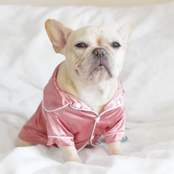 Soft Silk Pet Pajamas for Small Dogs and Cats 1 | PricZone