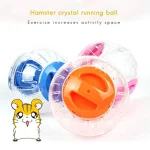Cute Dwarf Hamster Running Ball 47 Inches Crystal 4 | PricZone