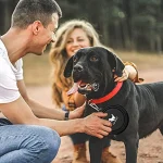 Collapsible Dog Bowls for Travel 2Pack Water Bowl for Dogs 6 | PricZone Collapsible Dog Bowls for Travel 2 Pack Water Bowl for Dogs 6 | PricZone
