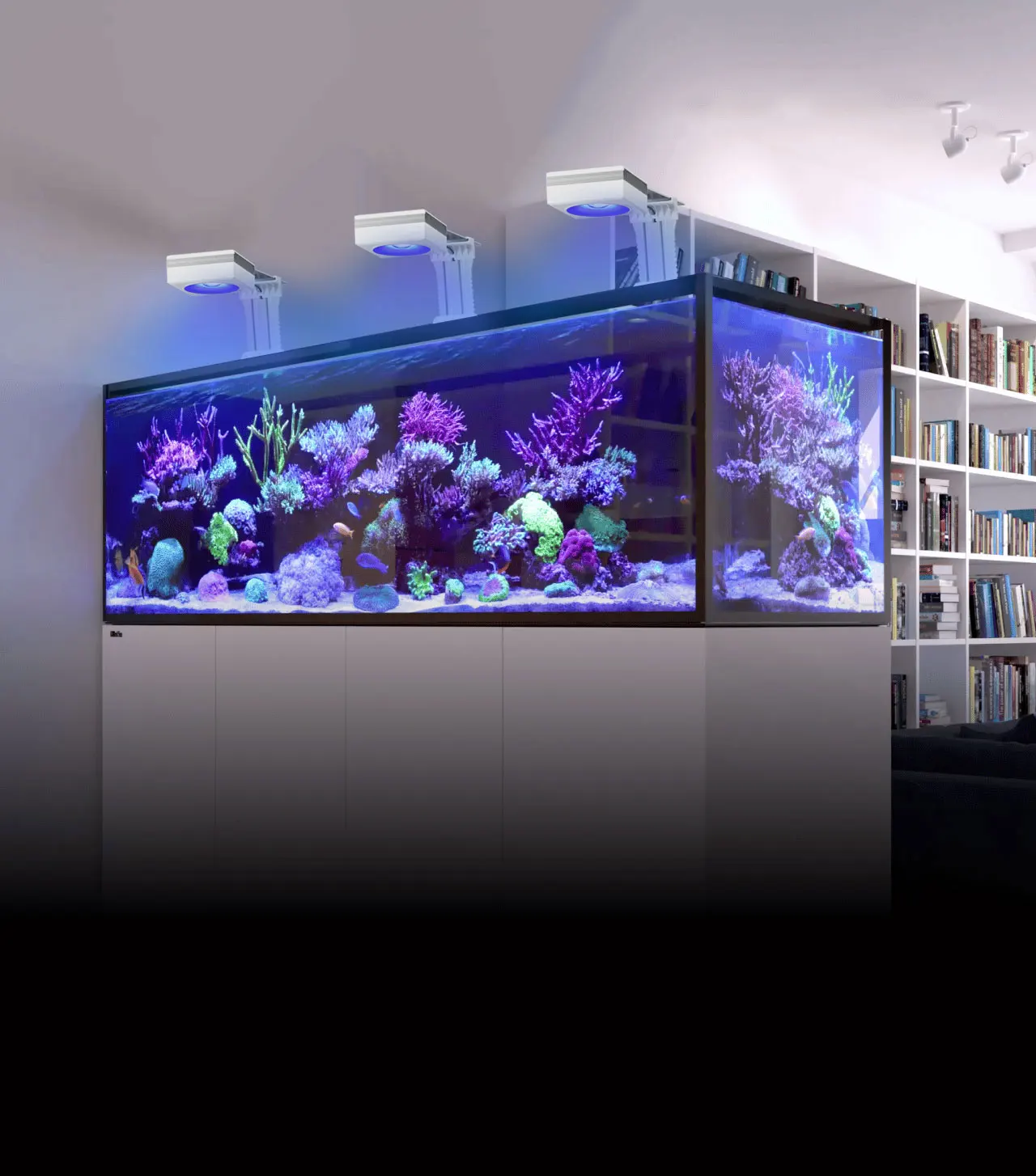 Popbloom 3Xrl90 Saltwater Aquarium Light Marine LED Fish 20