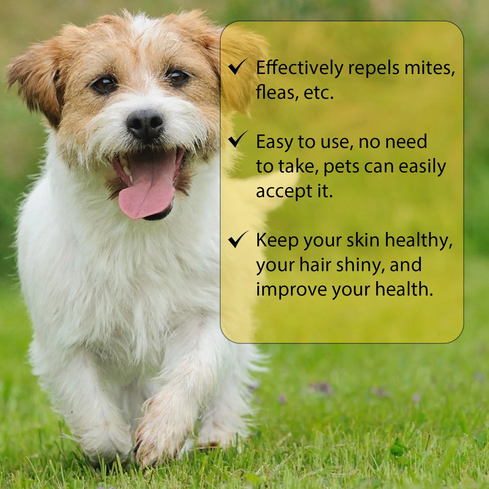 Yegbong Pet External Insect Repellent Drops Tick Removal 3 | PricZone Yegbong Pet External Insect Repellent Drops Tick Removal 3 | PricZone
