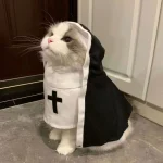 Cat Dress Up Party Costumes for Small Dogs and Cats 3 | PricZone