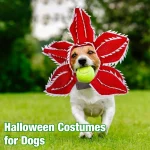 Big Cute Pet Floral Hat Cosplay Headband for Dogs 5 | PricZone Big Cute Pet Floral Hat Cosplay Headband for Dogs 5 | PricZone
