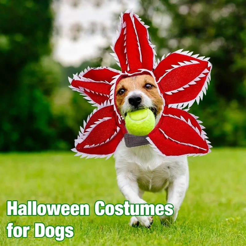 Big Cute Pet Floral Hat Cosplay Headband for Dogs 5 | PricZone Big Cute Pet Floral Hat Cosplay Headband for Dogs 5 | PricZone