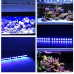 Populargrow Dimmable 115Cm LED Aquarium Light with All 4 | PricZone