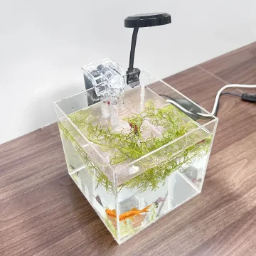 Home Office Desktop Transparent Acrylic Aquarium Water 2