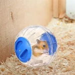Cute Dwarf Hamster Running Ball 472 Inches Crystal Wheel 6 | PricZone