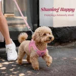 Dog Harness and Leash Set Outdoor Walking Soft Mesh 6 | PricZone