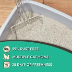 4 Pack Special Kitty Clumping Clay Cat Litter Fresh Scent 5 | PricZone
