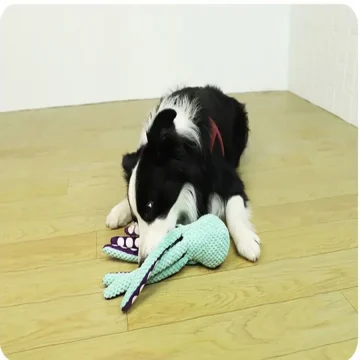 Large and Small Dog Plush Octopus Toy with Sound 2