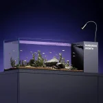 Glass Fish Tank Side Filter Oxygenator Desktop Aquarium 1 | PricZone Glass Fish Tank Side Filter Oxygenator Desktop Aquarium 1 | PricZone