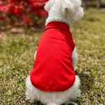 Solid Color Polo Shirt Puppy Thin Breathable Pet Vest 3 | PricZone Solid Color Polo Shirt Puppy Thin Breathable Pet Vest 3 | PricZone