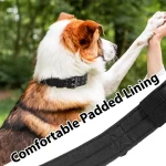 Military Dog Collar Adjustable Nylon with Metal Buckle Soft 5 | PricZone Military Dog Collar Adjustable Nylon with Metal Buckle Soft 5 | PricZone