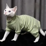 Tricolor Hairless Cat Warm Four Legged Sphinx Clothes 1 | PricZone