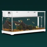 Acrylic Fish Tank with Filter Small Desktop Heating 1 | PricZone