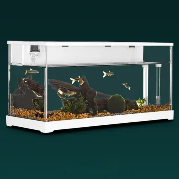 Acrylic Fish Tank with Filter Small Desktop Heating 1