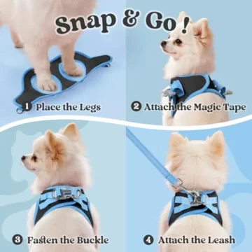 Dog Harness Small-Sized and Leash Set Step-In Soft Vest 2