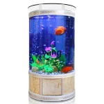 Ltt Semi Round Fish Tank Aquarium Living Room 1 | PricZone