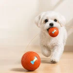 Remote Control Dog Toy Ball with Multiple Modes 6 | PricZone