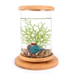 360 Degree Rotating Glass Betta Fish Tank Bamboo Base 6 | PricZone
