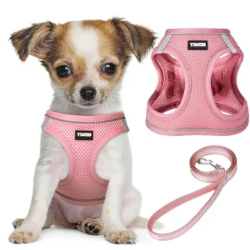 Dog Harness and Leash Set: Outdoor Walking Soft Mesh 1