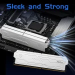 Netac DDR4 RAM Memory 8G16G 32003600Mhz Udimm Desktop 3 | PricZone