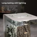 Low 15 Acrylic 4Gallon Aquarium with White LED Lights Ern 6 | PricZone Low 15 Acrylic 4 Gallon Aquarium with White LED Lights Ern 6 | PricZone