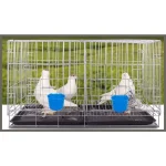 10 Pack Cage Cups Bird Feeders Seed Bowl Chicken Feeding 6 | PricZone