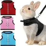 Random 3Pcs Rabbit Harness and Leash Set Escape Proof 1 | PricZone