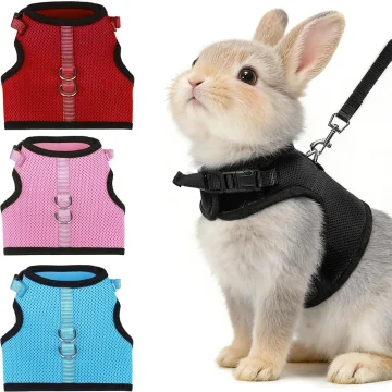 Random 3Pcs Rabbit Harness and Leash Set Escape-Proof 1