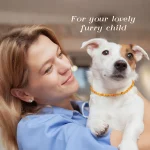 Pet Collar Natural Amber Jewelry Prevents Ticks and Fleas 4 | PricZone Pet Collar Natural Amber Jewelry Prevents Ticks and Fleas 4 | PricZone