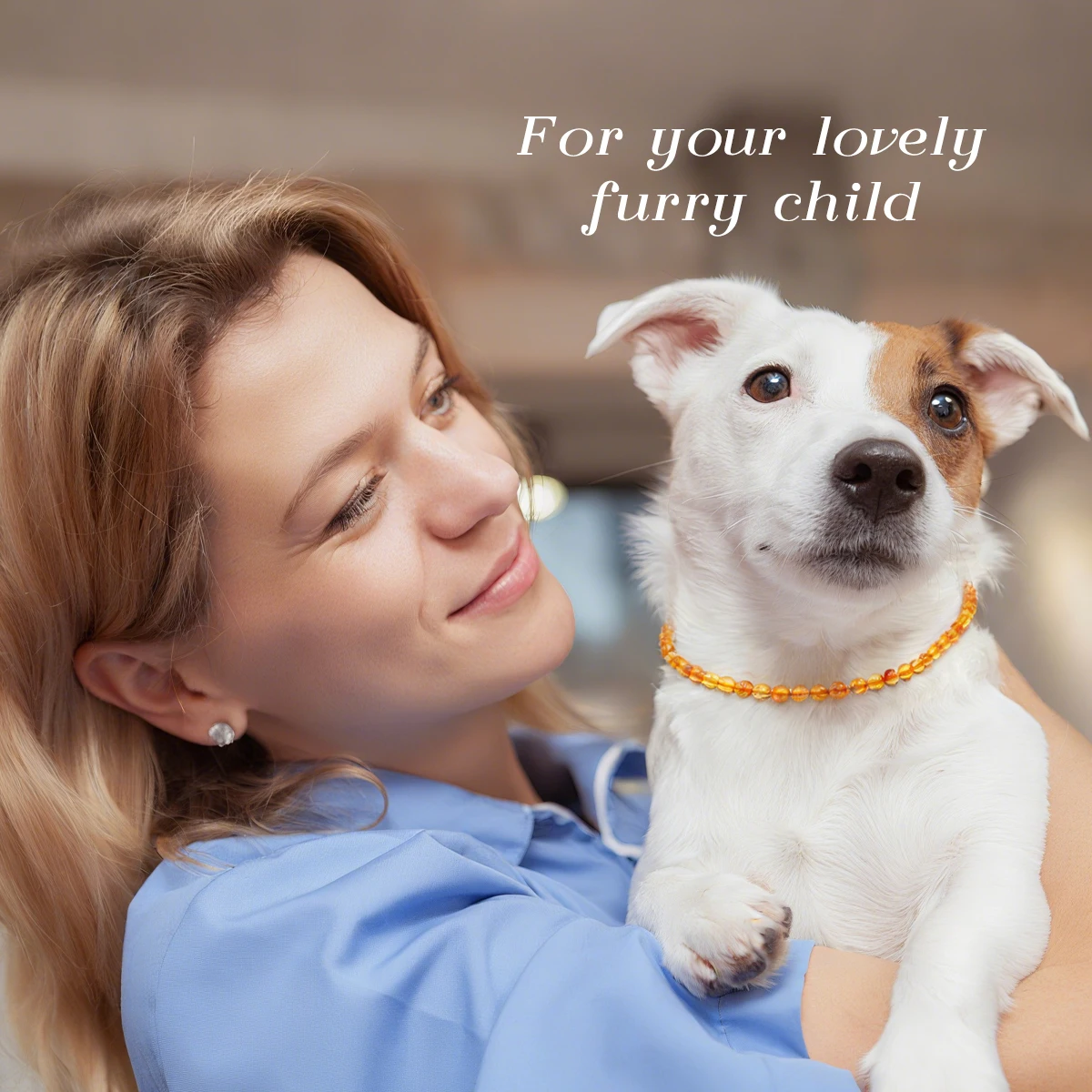 Pet Collar Natural Amber Jewelry Prevents Ticks and Fleas 4 | PricZone Pet Collar Natural Amber Jewelry Prevents Ticks and Fleas 4 | PricZone